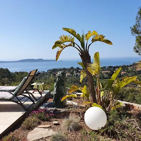 Villa Villa In Hyeres Near Beach & Pool
