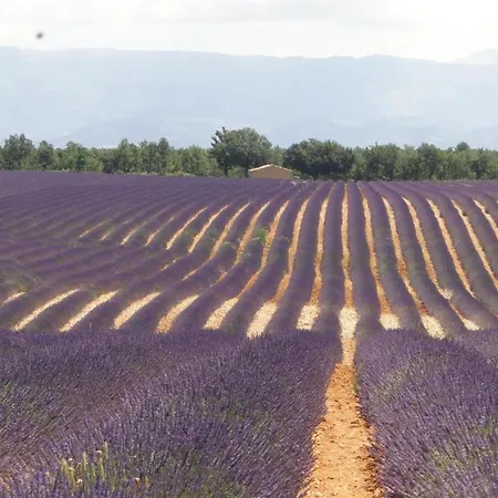 In Near & Pool Villa