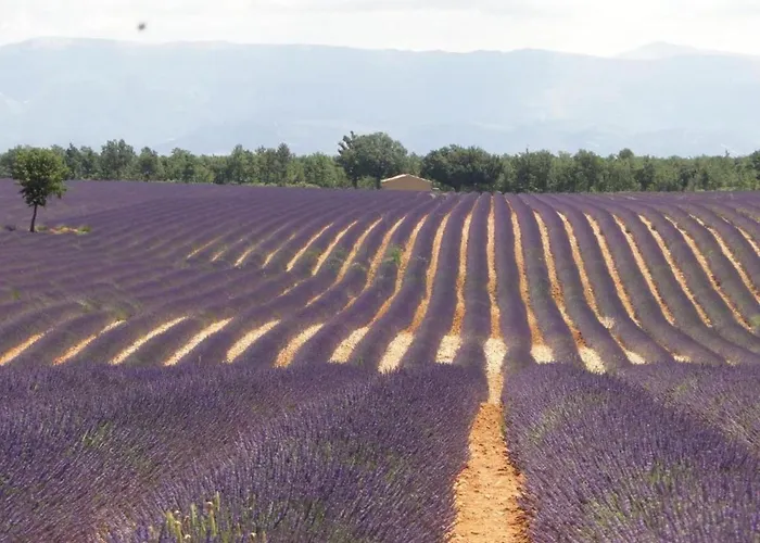 In Near & Pool Вілла