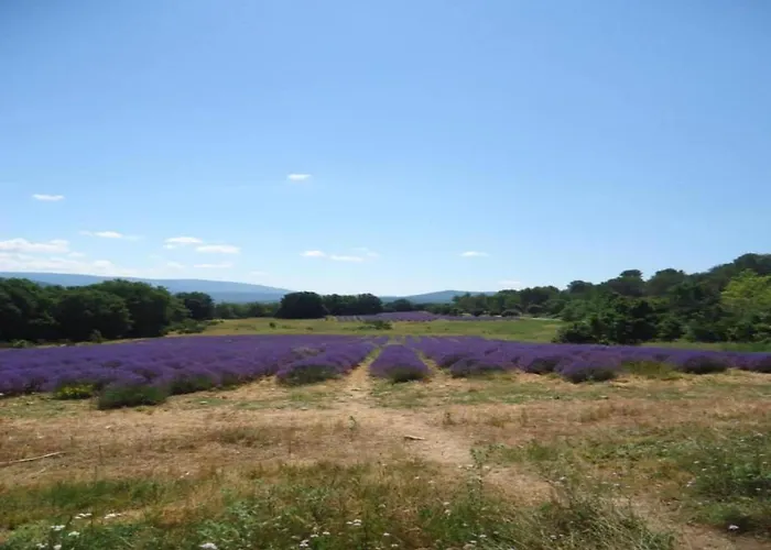 Villa In Near & Pool Hyères