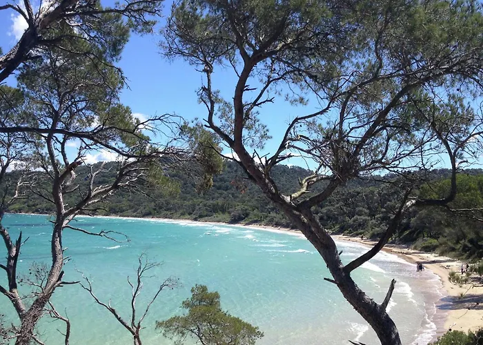 In Near & Pool Villa *